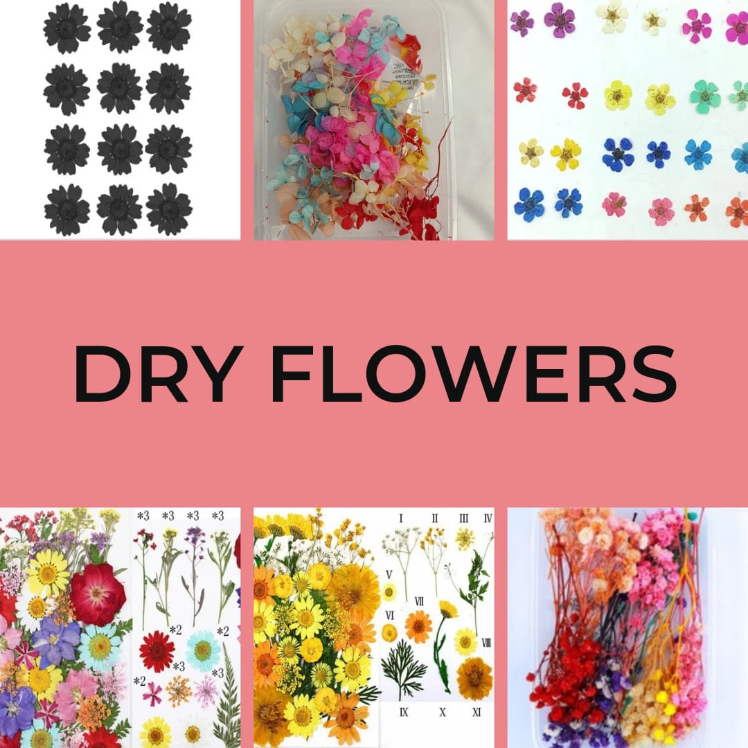 Dry Flowers & Decoratives